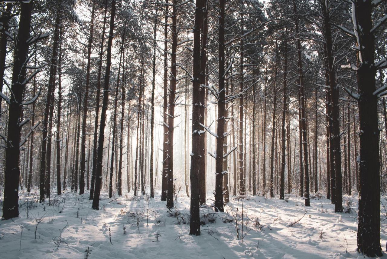 Lesna 21 Dom Poludnie Przy Puszcza Bialowieska Luka Eksteriør billede