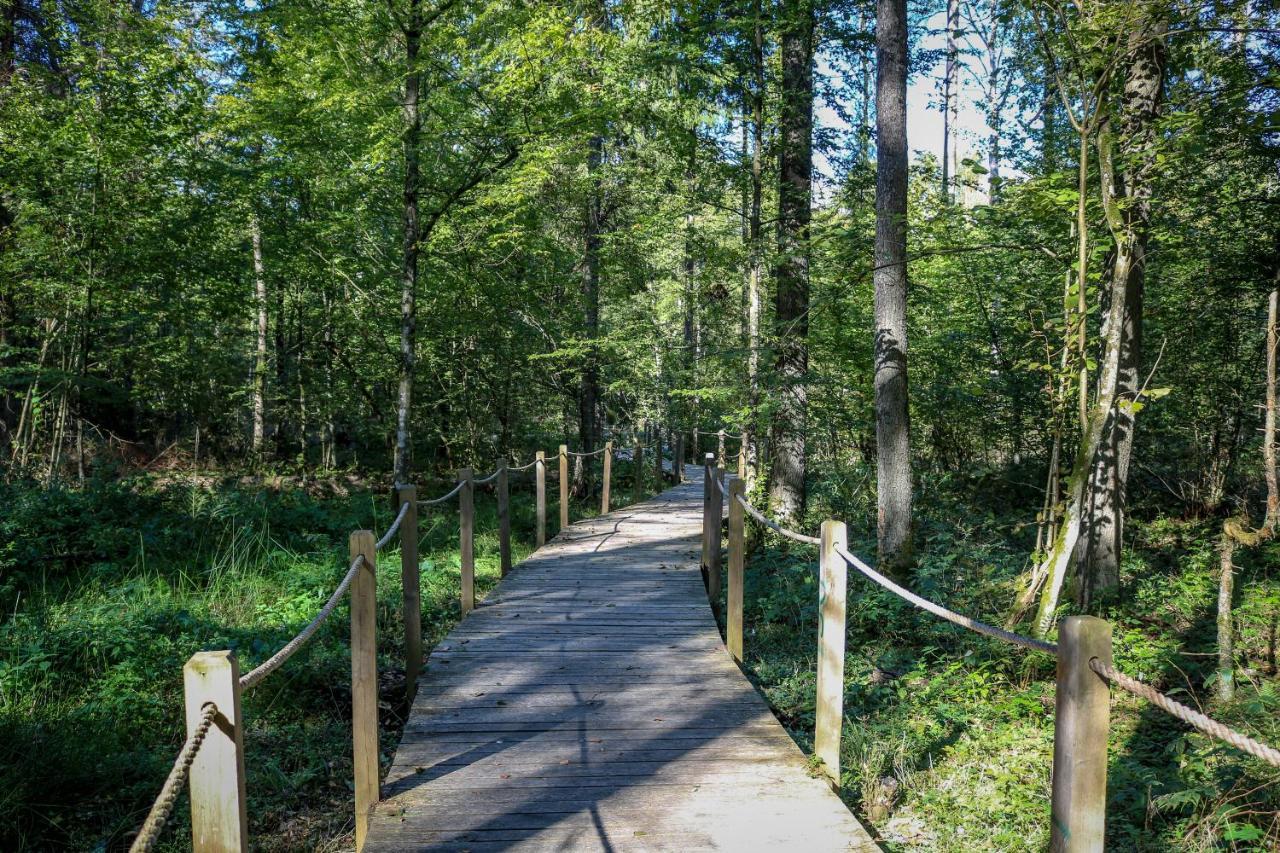 Lesna 21 Dom Poludnie Przy Puszcza Bialowieska Luka Eksteriør billede