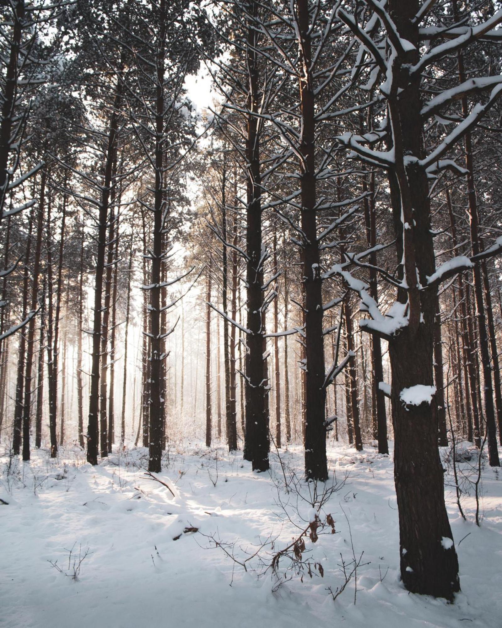 Lesna 21 Dom Poludnie Przy Puszcza Bialowieska Luka Eksteriør billede
