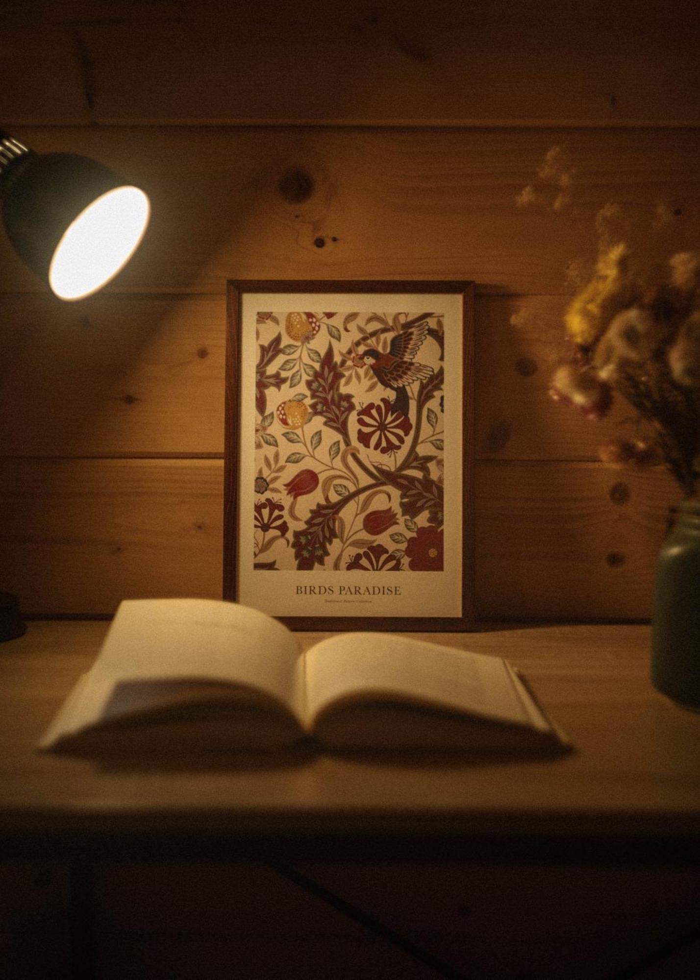 Lesna 21 Dom Poludnie Przy Puszcza Bialowieska Luka Eksteriør billede